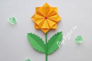 Оригами цветы: много МК от кактуса до волшебной розы